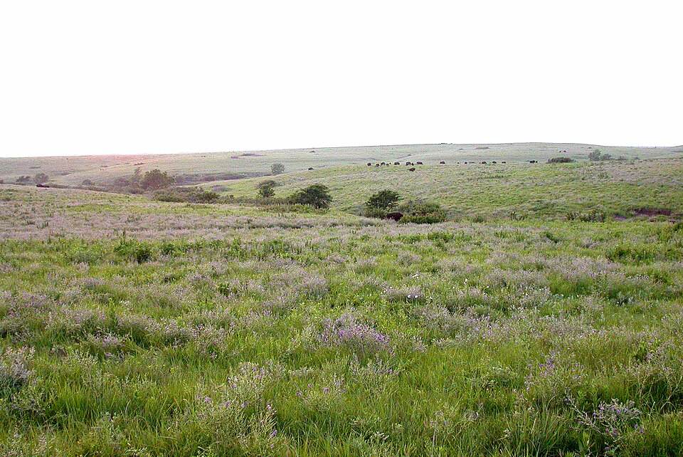 Konza Prairie, Kansas